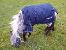 Regendecke shetlandpony 85 cm Horst friends Mit Gehalte und Schweiflatz. Ungefüttert. Besonders für schlanke zarte Ponies geeignet 