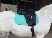 18” Wintec adjustable Dressage Saddle Wintec Wintec dressage saddle 