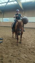 Reitbeteiligung