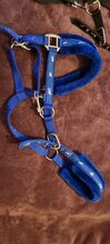 Rhinegold padded headcollars size full