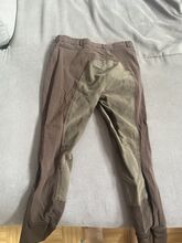 Reithose Gr. 32