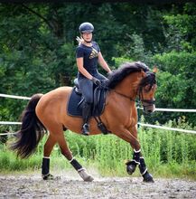 Reitbeteiligung an Walla h