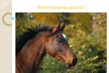 Reitbeteiligung oder Verfügung