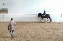 Reitunterricht für Kinder und Erwachsene