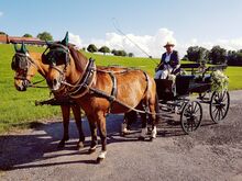 fahrtüchtige Wagonette