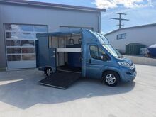 Pferdetransporter Citroen Jumper Nur 68.000KM Klima 163 PS Viehtransporter Selbstfahrer Dickenherr 2 Ride