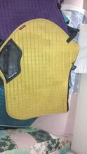 Dijon lemieux saddle pad Lemieux  Lemieux 