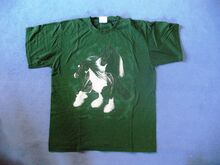 Schönes T-Shirt Pferd Tinker (Gr. S, Kollektion Bötzel)