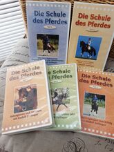 Schule des Pferdes 5teilig Videos Rudolf Zeilinger