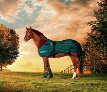 Verkaufe mein Bemer Horse Set ( Bild dient zur Aufmerksamkeit) Bemer Horse Set 