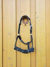 Neuwertiges Showmaster Longierhalfter Freedom schwarz Cob Showmaster  Longierhalfter Freedom