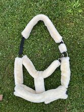 Showmaster Teddyfleece Halfter X-Full Showmaster  Showmaster Teddyfleece Halfter X-Full