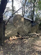 Heu kleine Rundballen, 1.Schnitt Eigenherstellung