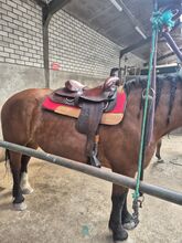 Simco westernzadel Simco