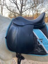 Ikonic Evolution Dressursattel 17,5“ Ikonic  Evolution 