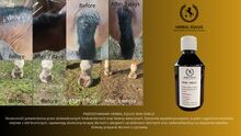 SKIN SHIELD na LIPCÓWKĘ i GRUDĘ u koni Herbal EQUUS SKIN SHIELD na LIPCÓWKĘ, alergie skórne, grudę.