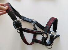 Lederhalfter mit weinroter Gurtbandverzierung Gr. Pony