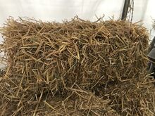 Haferstroh (Bio) Ernte 2025 / HD-Ballen