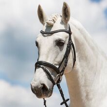 Trense von Kieffer Ultrasoft Fashion, Warmblut, Original verpackt, OVP 189 Euro Kieffer Ultrasoft Fashion