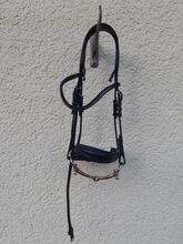 Trense Größe Cob Claridge Mirissa