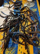 Assortment of bridles and equipment