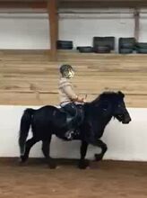 Sportlich mit viel Go