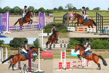 Showjumping Pony with huge potential