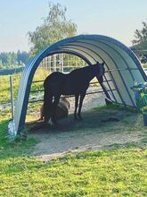 Stallplatz