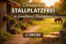 Demnächst Stallplatz frei