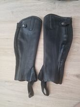 Steed Chaps Steed