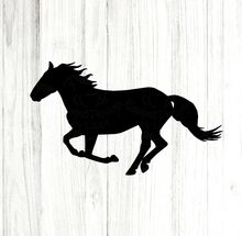 Ich suche ein Pflege oder Reit Beteiligung