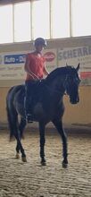Suche Reitbeteiligung Dressur
