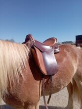 Sommer Evolution WanderreitSattel Sommer Evolution 