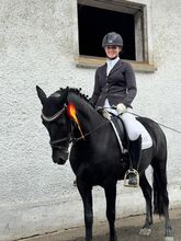 Super schicke Pony Rappstute für alle Sparten