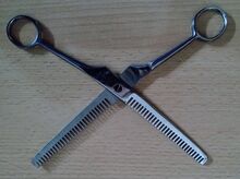 Schweif-und Mähnenschere