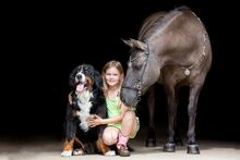 Therapie/ Gelände/ HippoliniPony