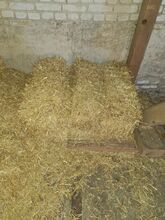 Es sind noch ca.40 Strohballen a. 10kg da wenn du alle brauchst dann 1,50€ das Stück