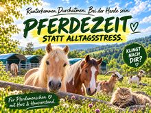 Pferdezeit statt Alltagsstress - Pferdemensch gesucht