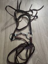 Bridle with bit