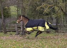 Tyrex 600 Weidedecke 150cm Outdoordecke Regendecke Equitheme Tyrex 600