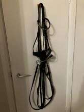 Horse equipment English Leather