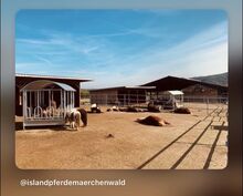 Einstellplätze für Islandpferde in 63599 Biebergemünd