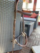 Gebissloser Zaum Starbridle