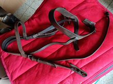 Polo bridle, martingale, breastplate and draw reins.