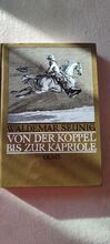 Von der Koppel bis zur Kapriole: die Ausbildung des Reitpferdes