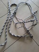 Verschiedene Knotenhalfter