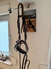 Warmblut Trense Schwarz /Braun