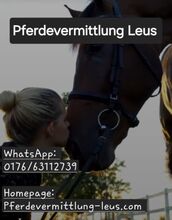 Verkaufsberitt