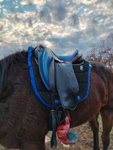 Seller sterle Endurance saddle Seller sterle Unknown