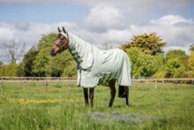 fly rug - Rambo Hoodie 165cm Rambo Hoodie 165cm